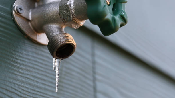 Best Affordable Plumbing Services  in , HI